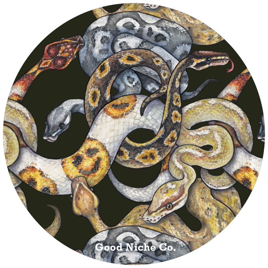 Ball Python Print circle vinyl sticker