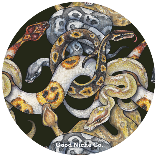 Ball Python Print circle vinyl sticker